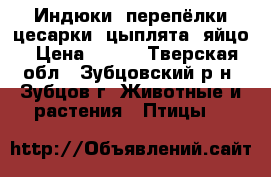 Индюки, перепёлки цесарки, цыплята, яйцо › Цена ­ 100 - Тверская обл., Зубцовский р-н, Зубцов г. Животные и растения » Птицы   